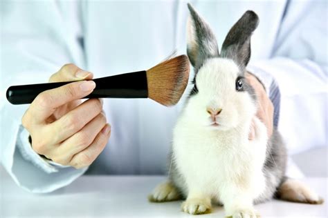 is clinical cruelty free